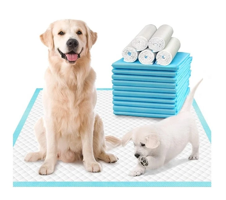 Almofadas de xixi para animais de estimação para cães